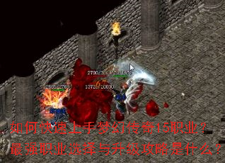 如何快速上手梦幻传奇15职业?最强职业选择与升级攻略是什么? 如何快速上手梦幻传奇15职业?最强职业选择与升级攻略是什么?