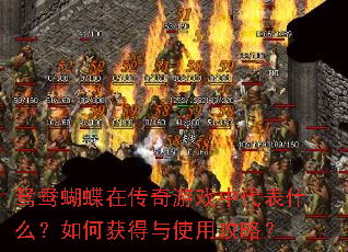 鸳鸯蝴蝶在传奇游戏中代表什么?如何获得与使用攻略? 鸳鸯蝴蝶在传奇游戏中代表什么?如何获得与使用攻略?