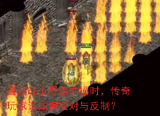 ����սʿҰ����ײʱ��������Ҹ����Ӧ���뷴�ƣ�