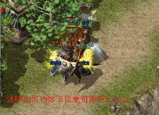 ��ʦ������λ��������boss��