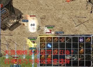 天狼蜘蛛多少级可以召唤?召唤技巧与等级要求详解 天狼蜘蛛多少级可以召唤?召唤技巧与等级要求详解