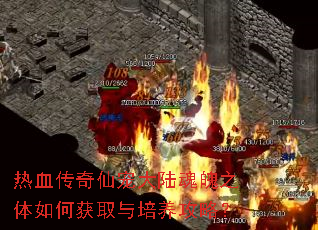 热血传奇仙宠大陆魂魄之体如何获取与培养攻略? 热血传奇仙宠大陆魂魄之体如何获取与培养攻略?