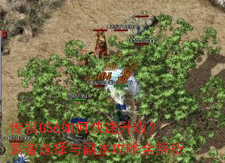 ����GS6��ο���������װ��ѡ���븱������ȫ����