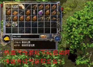 热血传奇游戏下载后如何快速升级与获取装备? 热血传奇游戏下载后如何快速升级与获取装备?