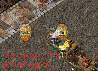 ��紫��˽��������ο�������ս����