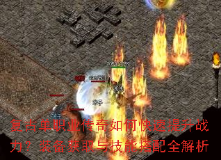 ���ŵ�ְҵ������ο�������ս����װ����ȡ�뼼�ܴ���ȫ����